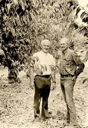 Gotelli and Friend standing in the middle of a cherry orchard